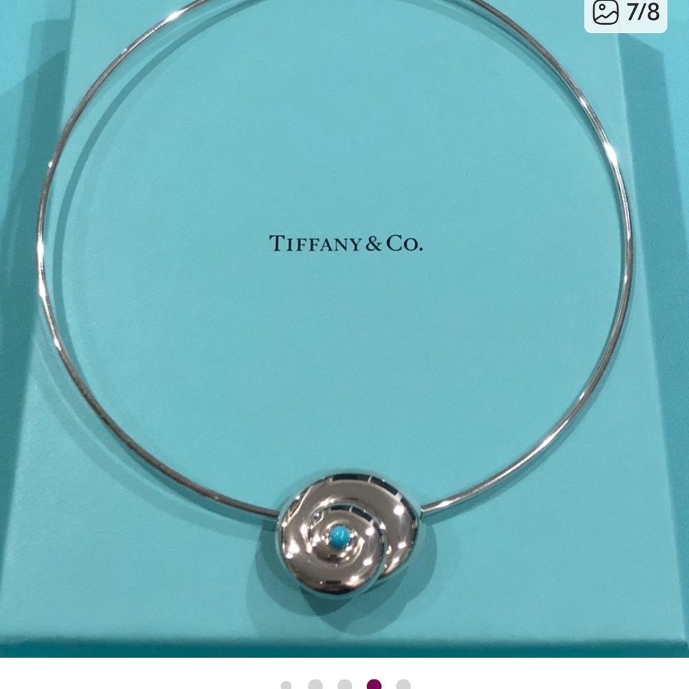 Tiffany & Co. Necklace